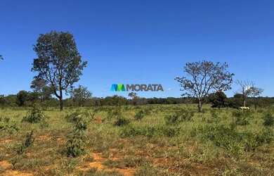 Imagem 9: FAZENDA À VENDA - 100 HECTARES - MORRO DA GARÇA MG