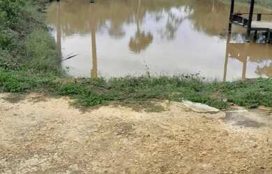 Imagem 14: A M IMOVEIS VENDE EXELEN FAZENDA COM 310.7HECTARES PARA PECUARIA