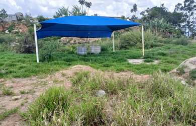 Imagem 4: Vendo chácara em Suzano com 1000m2. Local excelente