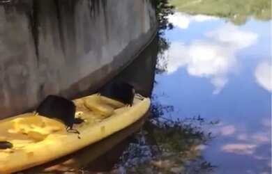 Imagem 8: Itabirito Acurui - Parcelado