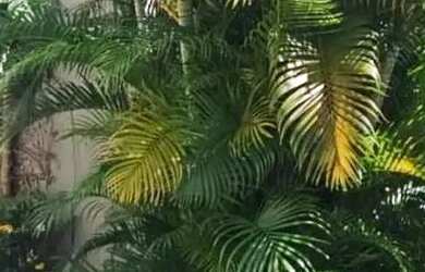 Imagem: A casa possui 3 Dormitórios, 3 Banheiros, 2 Vagas na garagem