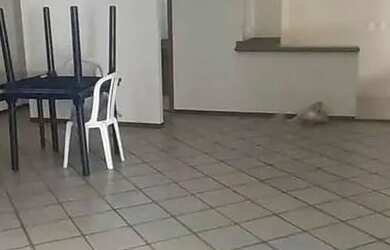 Imagem 9: Cobertura em Avenida Genaro de Carvalho - Recreio dos Bandeirantes - Rio...