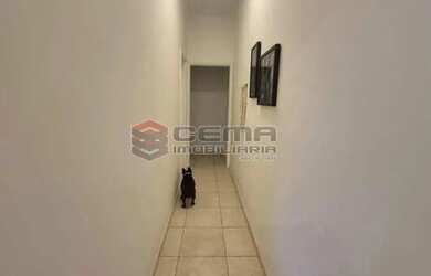 Imagem 8: Apartamento / Residencial / Flamengo