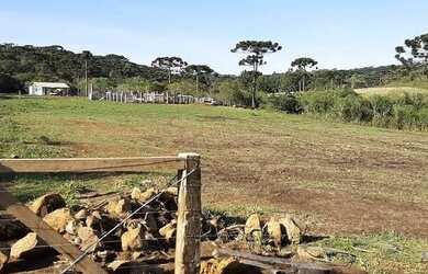 Imagem: A fazenda e está localizado em Guarapuava, PR à venda por