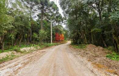 Imagem 11: ALMIRANTE TAMANDARE - Chácara - MARMELEIRO