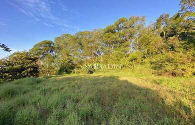 Imagem 2: Terreno à venda, 20686 m² por R$ 395.000 - Brejal- Petrópolis/RJ