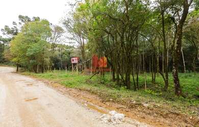 Imagem 2: ALMIRANTE TAMANDARE - Chácara - MARMELEIRO