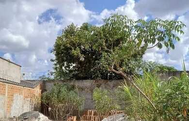 Imagem: O terreno possui 250m² de Área e está localizado em Trindade