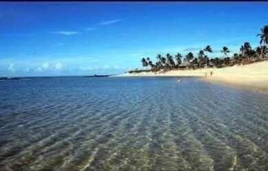 Imagem 6: Ekoara residence