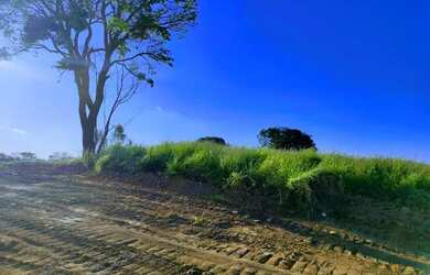 Imagem 7: 03a-GMDI20. 500m² de Área