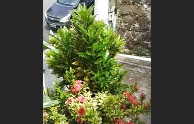 Imagem: A casa possui 3 Dormitórios, 1 Banheiro e está localizado