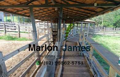 Imagem 4: FAZENDA EM JAUPACI-GO VENDA