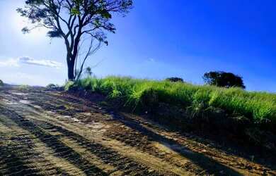 Imagem 6: 03a-GMDI20. 500m² de Área