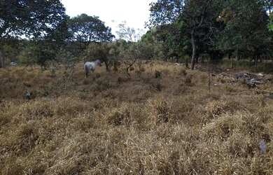 Imagem 12: 11.000 M2 BR 135 Acesso ao Pentáurea
