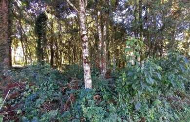 Imagem 9: Terreno à Venda em Canela