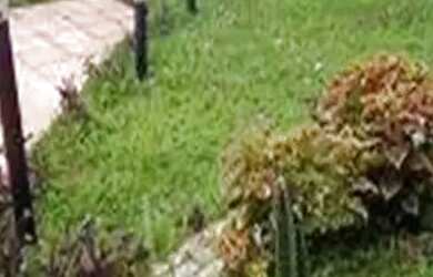 Imagem 14: Aluguel Casa 3 Dormitórios - 150 m² Alto de Pinheiros