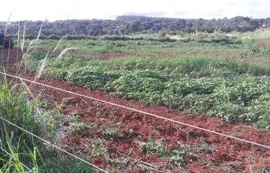 Imagem: A fazenda possui 3m² de Área e está localizado em Itaberaí