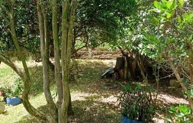 Imagem: O terreno possui 480m² de Área e está localizado em São