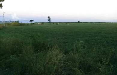 Imagem 9: Fazenda à Venda 472 Hectares Unaí - MG