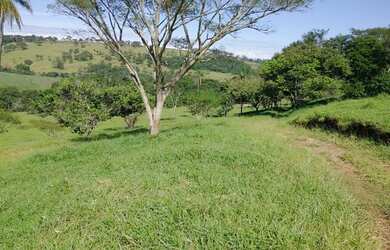 Imagem 7: Sítio / Fazenda 11,8242 ha próxima a Jeriquara- SP