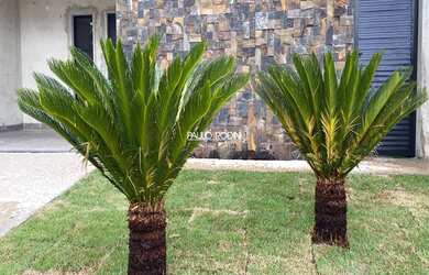 Imagem 3: RIBEIRÃO PRETO - Casa de Condomínio - VALÊNCIA