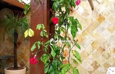 Imagem 8: Casa com 3 dormitórios à venda, 276 m² por R$ 695.000,00 - Sapiranga...