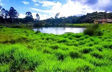 Imagem: O terreno está localizado em Agua Espraiada, Cotia à venda