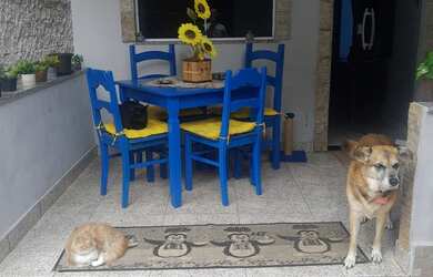 Imagem: A casa possui 3 Dormitórios, 2 Banheiros, 1 Vaga na garagem