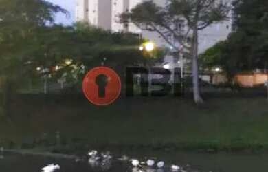 Imagem 5: SAO JOSE DO RIO PRETO - Residential / Apartment - JARDIM BELA VISTA