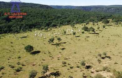 Imagem 14: Fazenda com 1.500 hectares - 20 km de Montes Claros