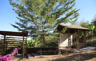 Imagem 14: Maravilhoso sítio na estrada da produção a 12 km de Moc todo formado