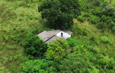 Imagem 11: Vendo fazenda 463 alqueires região de Barra do Garças MT