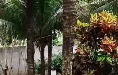 Imagem 9: Sítio / Chácara para Venda em Rio de Janeiro, Pedra de guaratiba, 3...