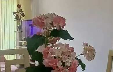 Imagem 13: Ótimo apartamento para venda em São Lourenço MG