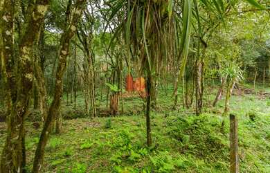Imagem 10: ALMIRANTE TAMANDARE - Chácara - MARMELEIRO