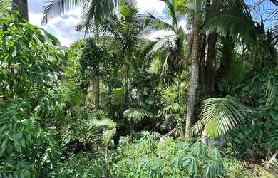 Imagem 2: Terreno à venda, 360 m² por R$ 265.000 - Boa Vista - Blumenau/SC