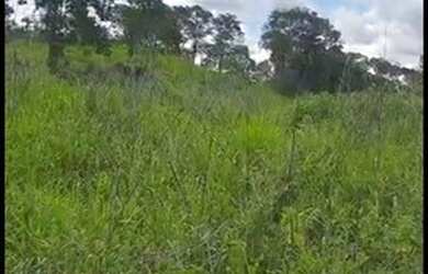 Imagem 3: Sítio 7 Alqueires Cultura em Água Limpa Goiás