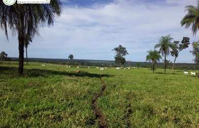 Imagem: A fazenda possui 7598800m² de Área e está localizado em Goianorte