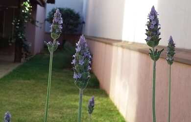 Imagem 7: CASA - PORTAL DO ALTO. Varanda, Área de serviço, 140m² de Áreae4 Vagas...