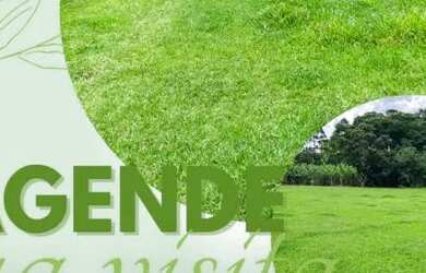 Imagem: O terreno está localizado em Centro, Guarulhos à venda por