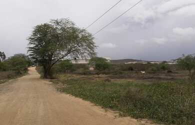 Imagem: O terreno possui 3.500m² de Área e está localizado em Gravatá