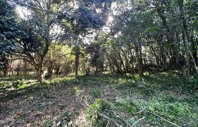 Imagem: A fazenda possui 1.100m² de Área e está localizado em Fazenda