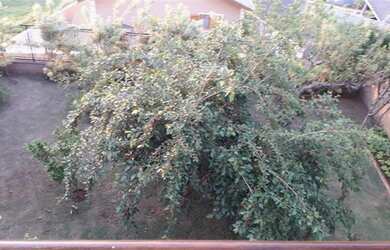 Imagem 4: Casas em Condomínio para venda em Bragança Paulista no bairro Condominio...