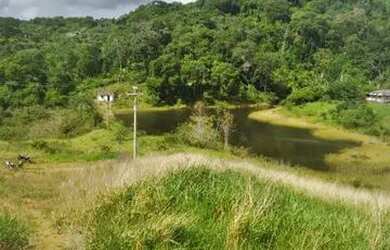 Imagem: A fazenda possui 23m² de Área e está localizado em Ipiaú