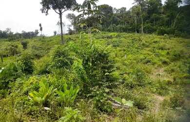 Imagem 4: Vende-se fazenda. 1.200.000m² de Área