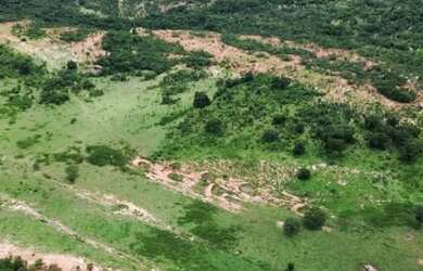 Imagem 2: Vendo fazenda 463 alqueires região de Barra do Garças MT