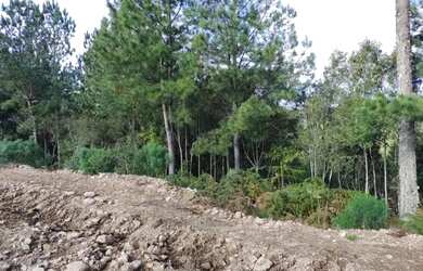 Imagem: O terreno possui 450m² de Área e está localizado em Gramado