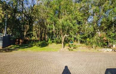 Imagem 3: PINHEIRO GROSSO. 958m² de Área