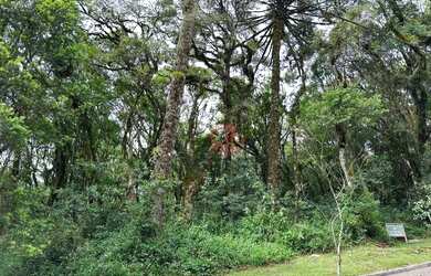 Imagem 5: Terreno à Venda em Canela