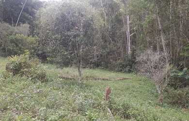 Imagem 11: 1 hectare Paulista 3 lagos mais pocilga 174 mil reais